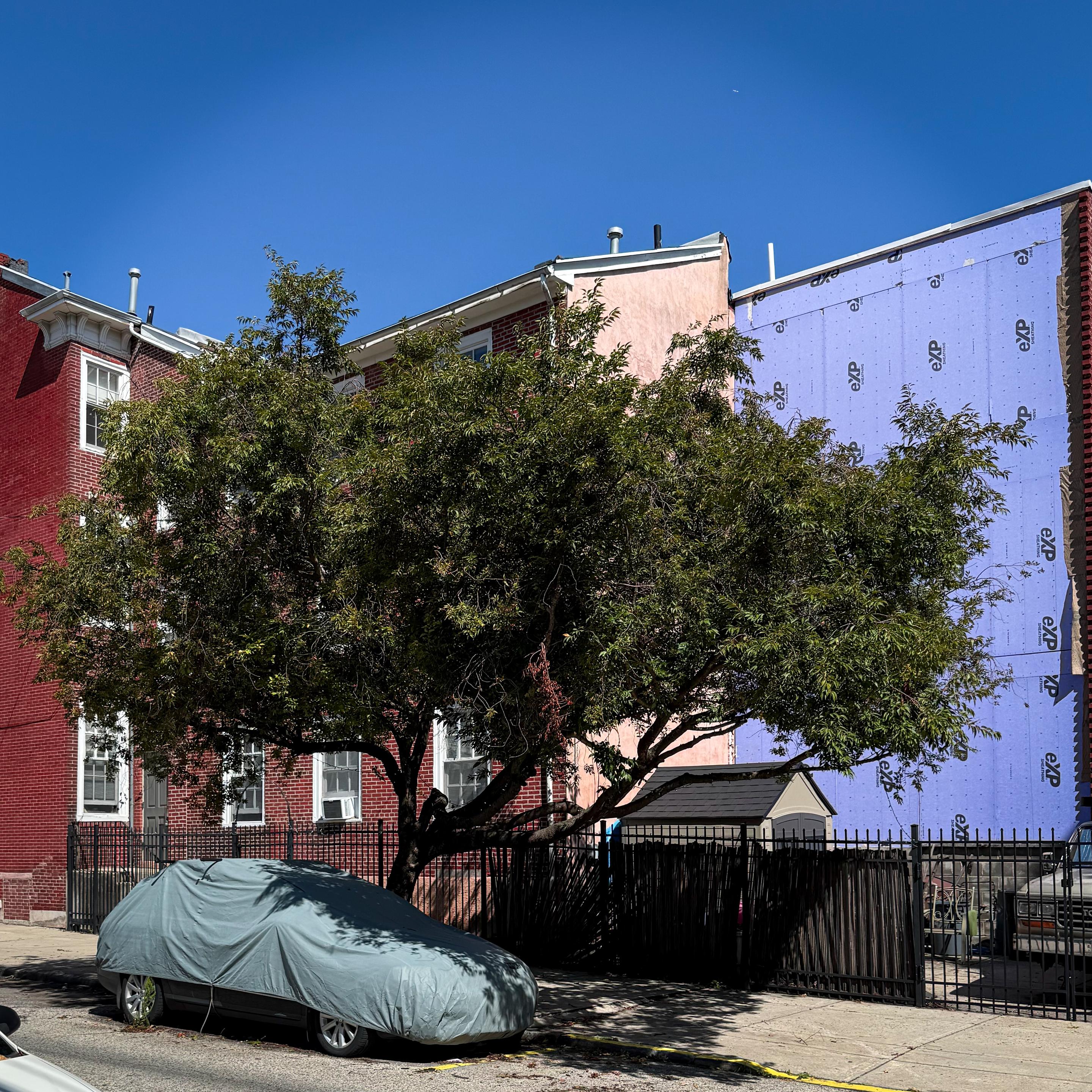 A covered car is parked beside a tree in front of a building with a red brick façade and a pink wall. Behind, a partially purple wall is under renovation. The sky is clear and blue.