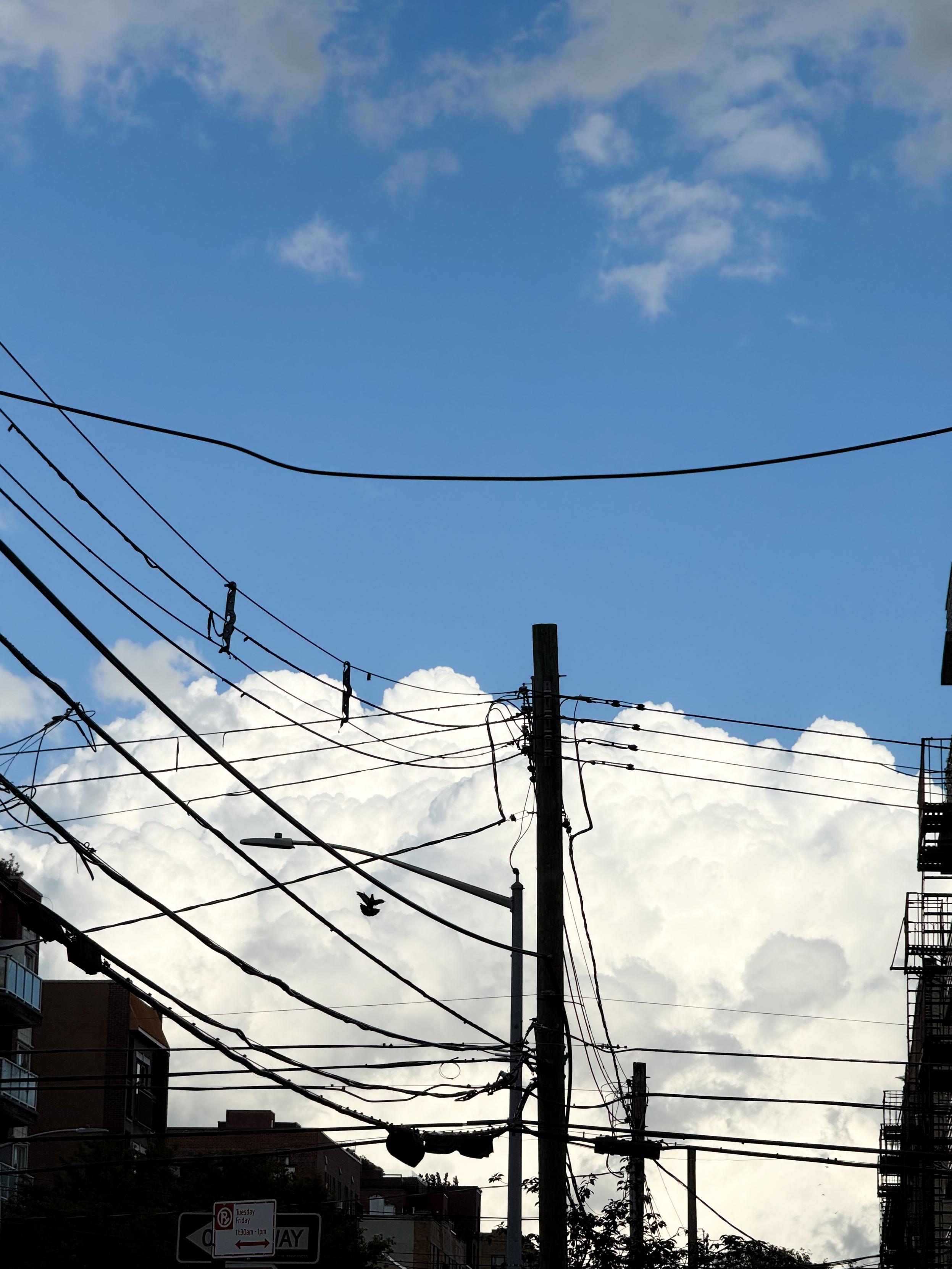 A urban scene featuring various electrical wires against a backdrop of a blue sky and fluffy white clouds. Buildings are visible in the foreground, with a bird in flight among the wires.